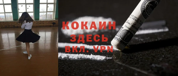 не бодяженный Алексин