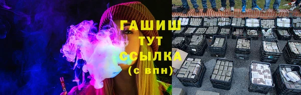 PSILOCYBIN Алзамай