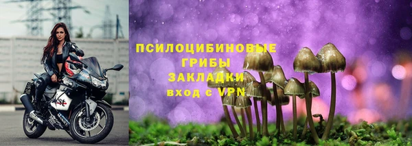 МДПВ Абинск