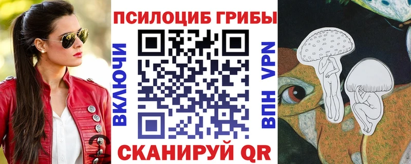 мега как зайти  Щёкино  Галлюциногенные грибы Psilocybine cubensis 