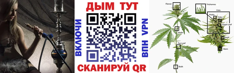 Канабис OG Kush  Щёкино 
